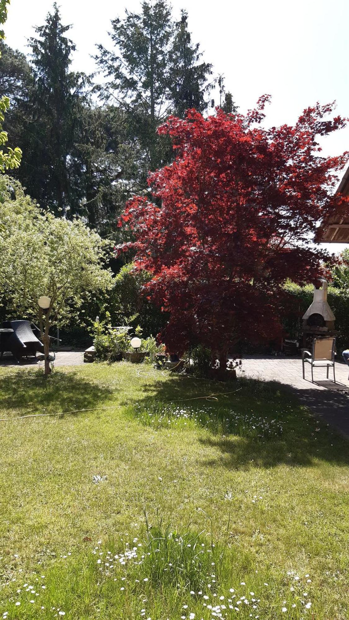 Ferienwohnung Luise, Gemuetlich, Freundlich Und Ganz Nah An Berlin Oranienburg Luaran gambar